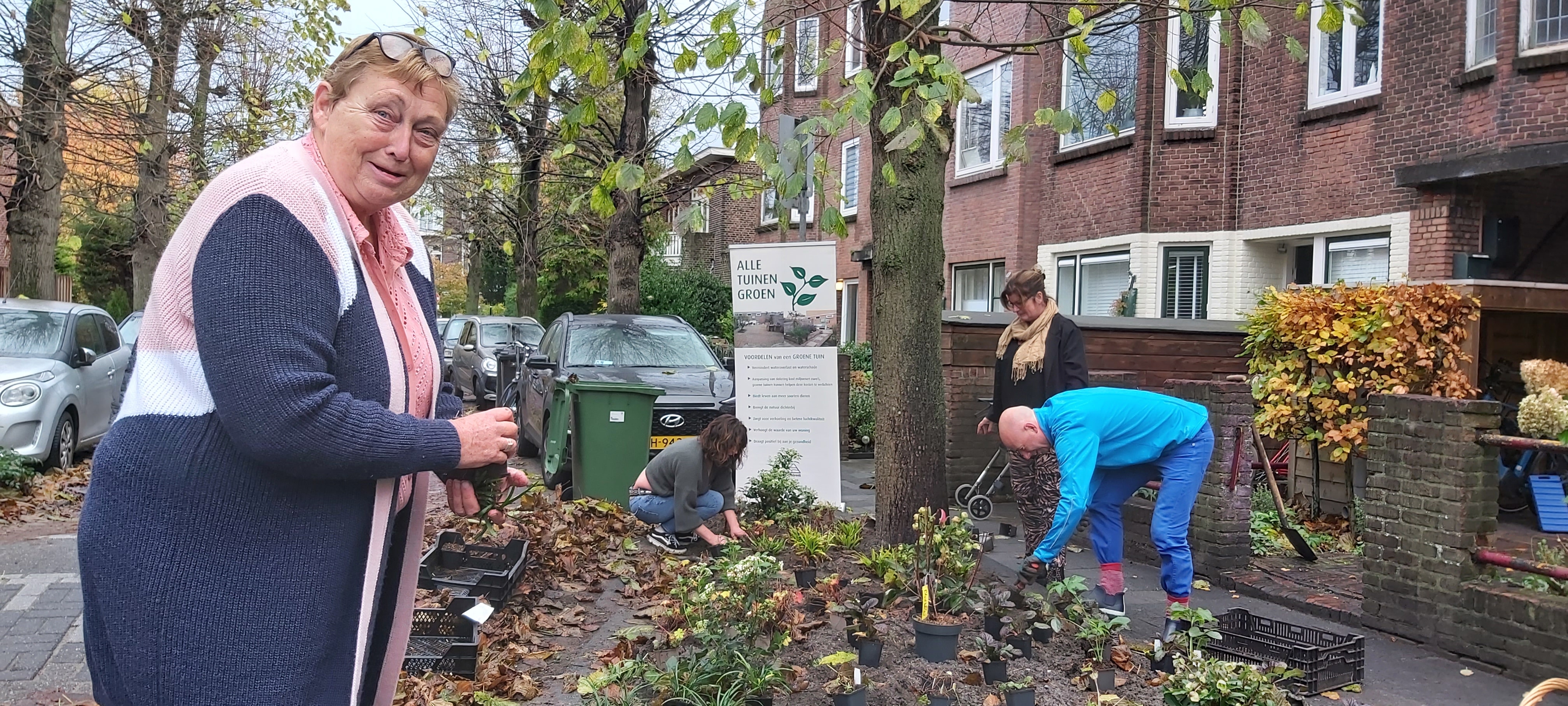 Aanplanting Ieplaan, Rijswijk