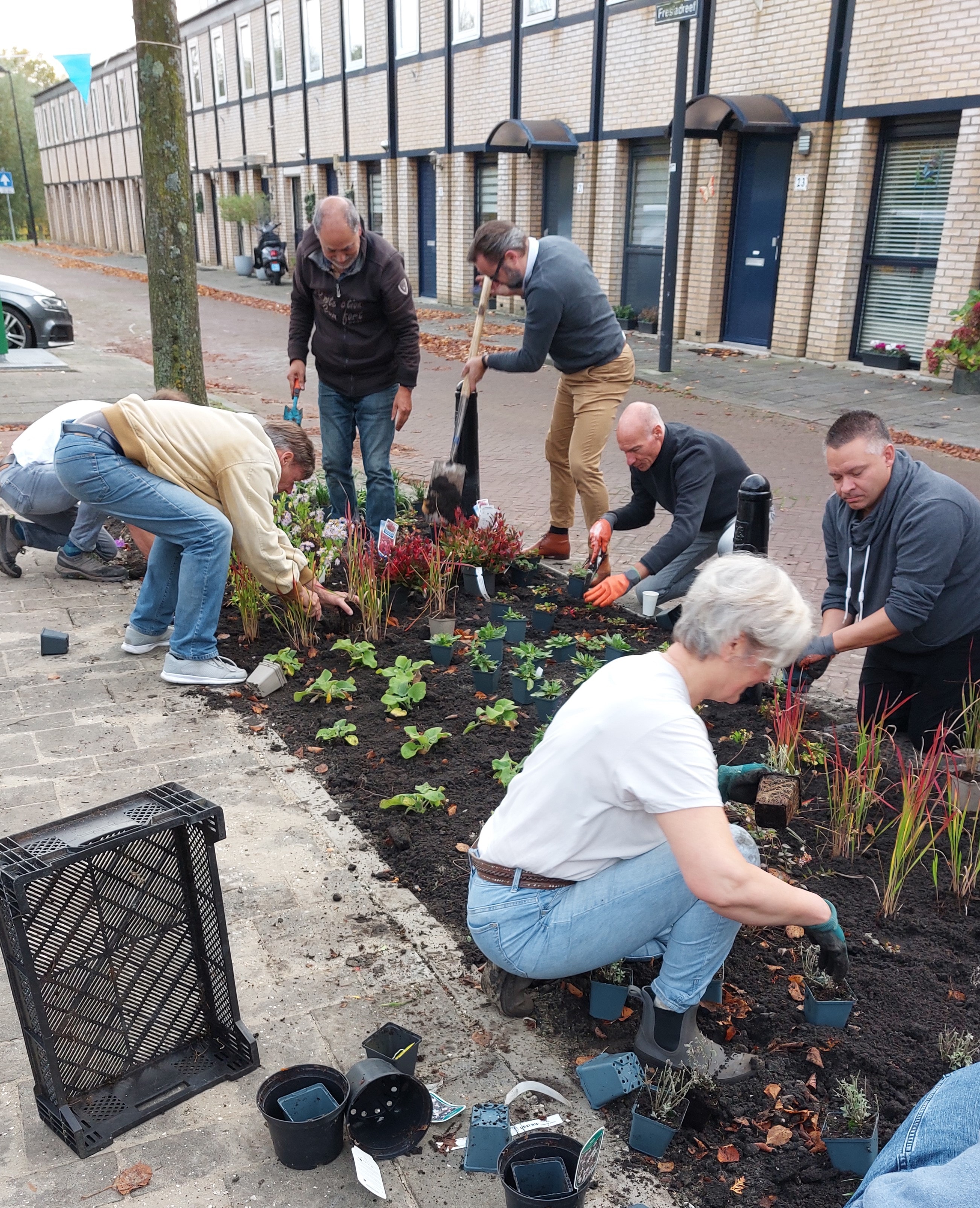 Aanplanting Fresiadreef, Rijswijk