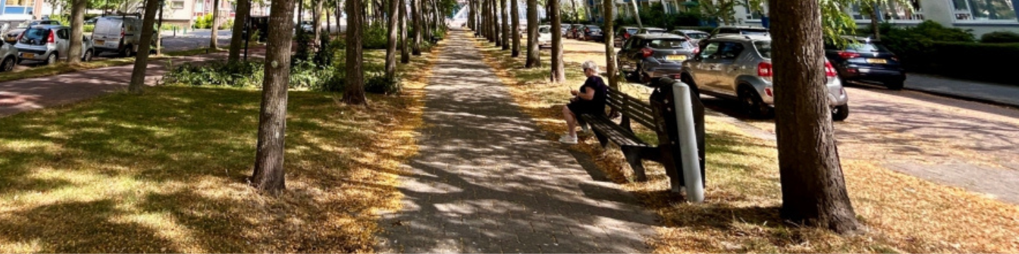 Wandelpad in Rijswijk