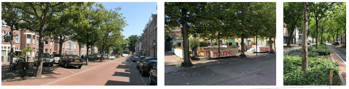Sfeerimpressie parkeren tussen groen