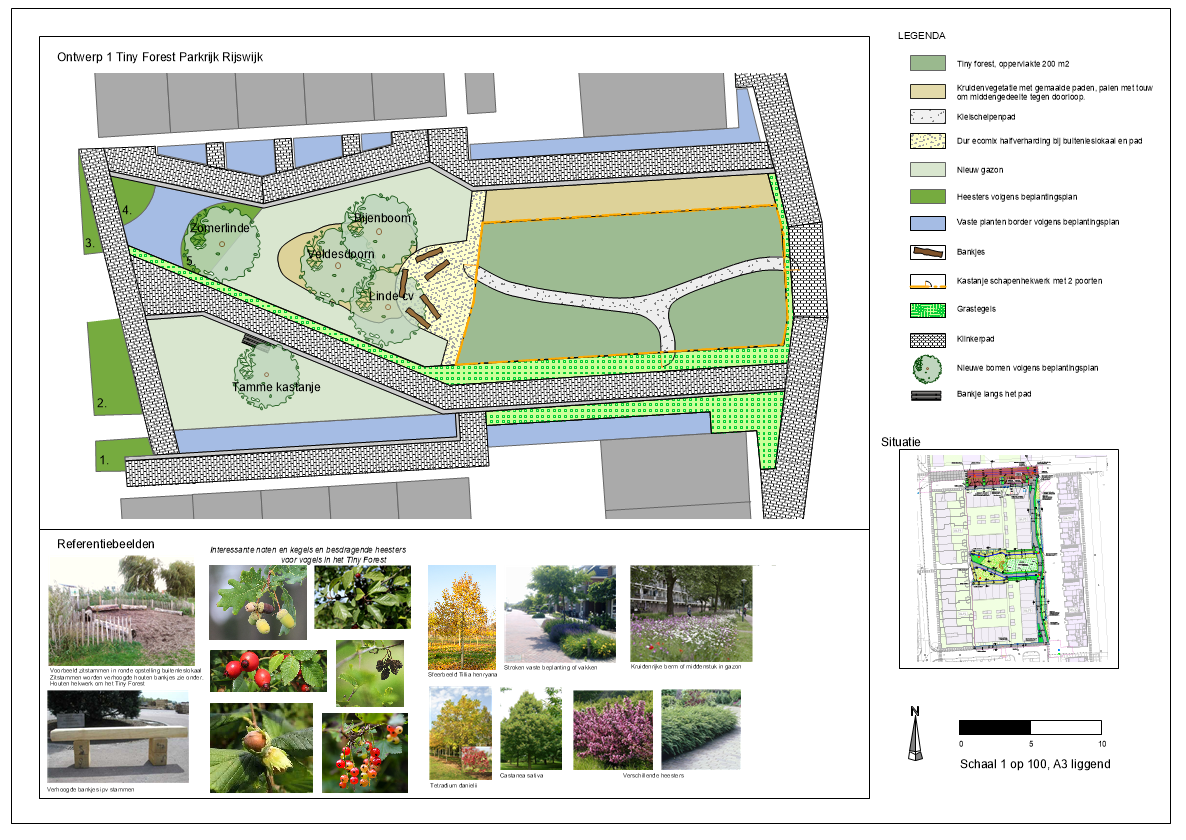Ontwerp 1 voor Tiny Forest Distelvlinderstraat in Parkrijk RijswijkBuiten (onderaan deze pagina kun je het ontwerp op groot formaat downloaden).